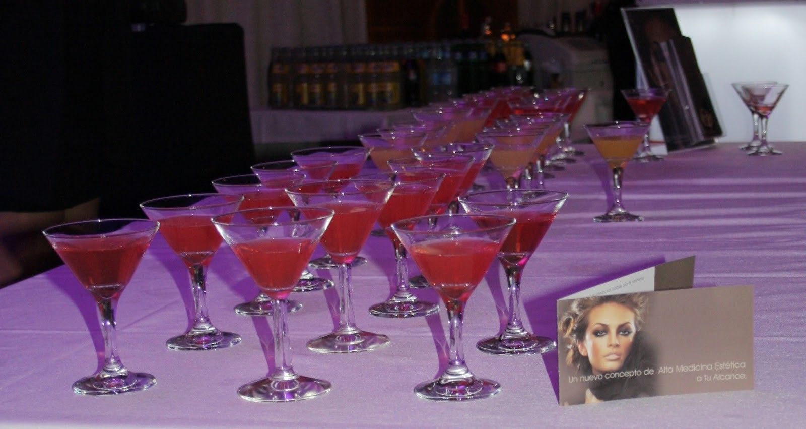 Clínica Benzaquén en la inauguración del festival de Cine Español 2013, en la terraza del AC Málaga Palacio
